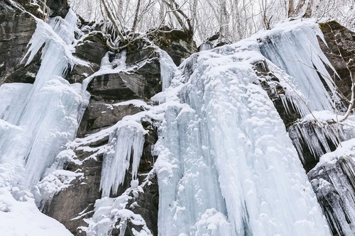 青森県←こいつに対するお前らの率直なイメージ