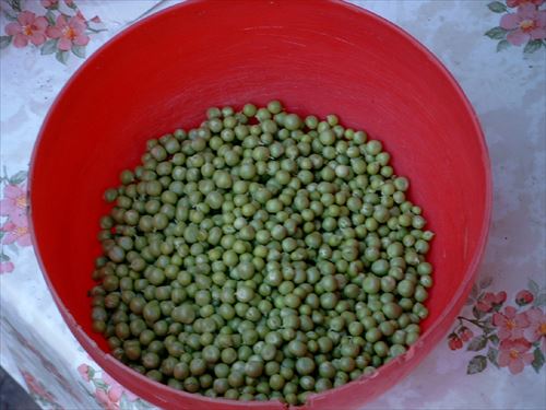 グリーンピース「栄養ないです。食感悪いです。味も個性的です。」