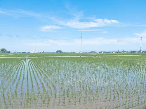 農家やけど質問ある？