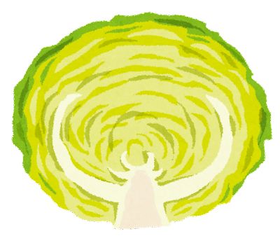 cut_vegetable_cabbage