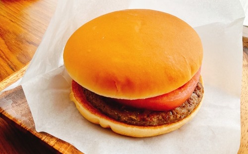 親の教育でマクドナルドとか牛丼屋に行ったことないんやが