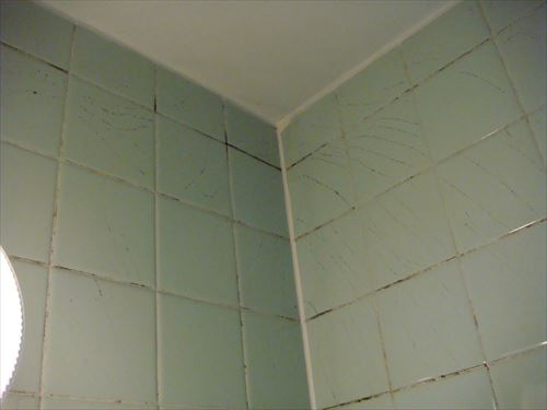 2501443851_ae53f12f71_k_R