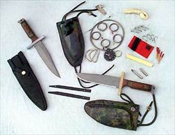 survival (1)_R