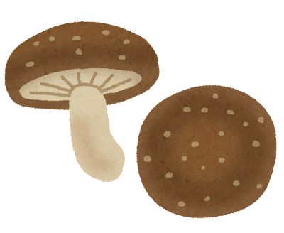 kinoko_shiitake