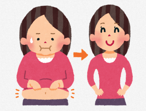 ダイエット お料理速報 ダイエット お料理速報