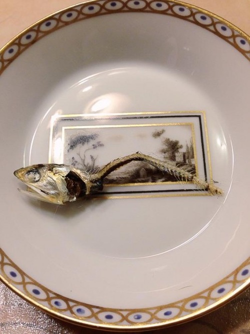 【にゃんこ】「どうやって食べてるの？」煮干しの頭と骨を上品に残して食べる猫が賢いと話題（画像あり）