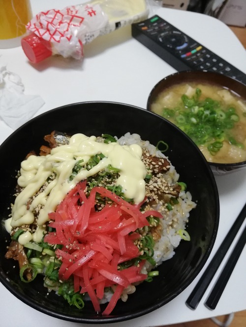 【悲報】年収350万円底辺労働者独身、誰からも相手されない30歳おっさんの晩飯がこちら..