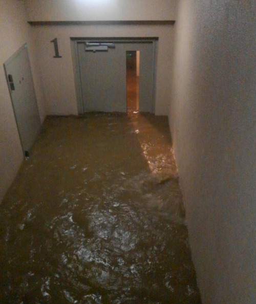 「武蔵小杉 たわまん」の画像検索結果