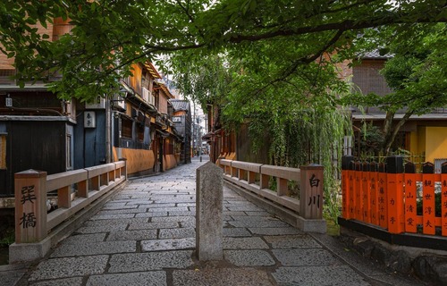 cropsusipakuIMG_1057