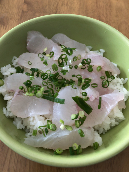 ヒラメ釣ってきたからヒラメ丼作った