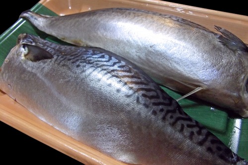 f53ac4b722efbba8421818227df53e4e_s