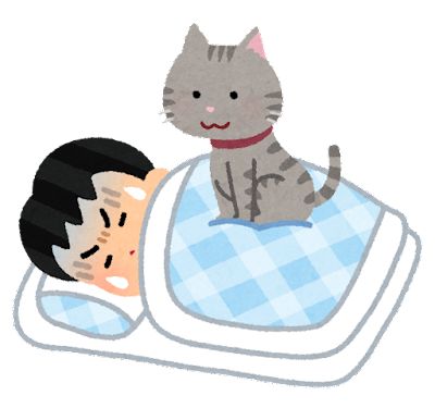 pet_cat_omoi_sleep_man
