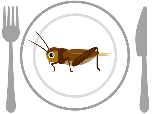 ビートきよし「コオロギに補助金出すなら酪農とか農業に出せよ」