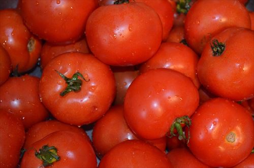 tomatoes-840668_960_720_R