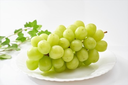 シャインマスカット