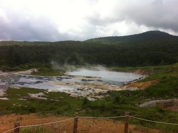 agpiZWViZWUyc2VlchULEgxJbWFnZUFuZFRleHQYgvXzBgw