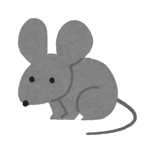 color10_gray_mouse