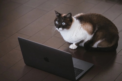 未経験からIT業界に就職しようと思ってるんやが