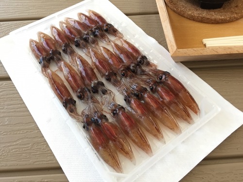 25e2f574067d1aec58f8128f955505e7_s