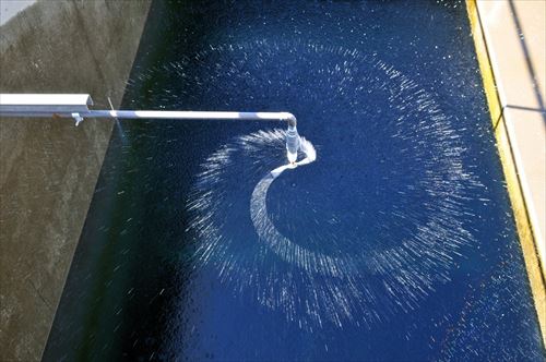 pexels-photo-1287872_R