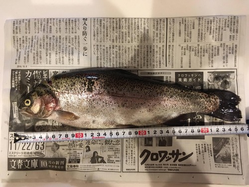 ニジマス釣ったンゴ