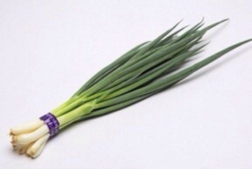 万能ネギって武器としては使えないよな