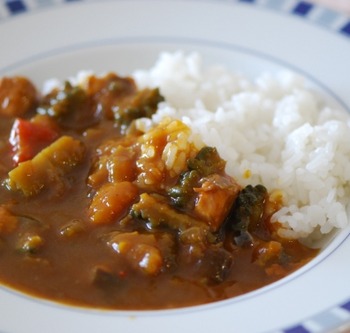 2日目のカレーに飽きたからゴーヤ入れて煮込んでみたらもうどうしようもなくなった