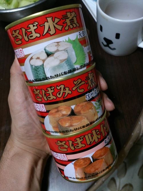 9206178469_1594965b72_k_R