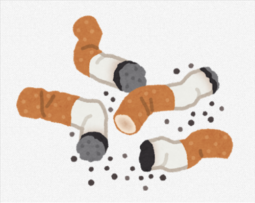 SnapCrab_No-20210313_214921_00