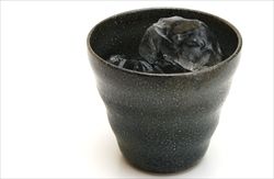 shochu_R