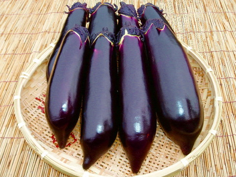 ナス料理のレシピ教えてください！