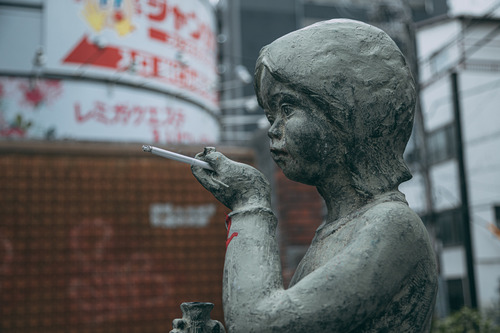 IMG_10410746shikun1011_TP_V