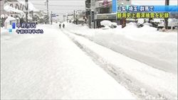 【悲報】大雪のせいで山梨のぶどう農家に大きな被害