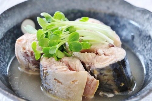 0e6cc229178c67a21263ac228e250c29_s