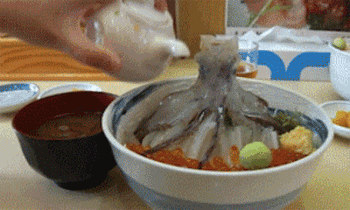 イッカ「捕まったわ」料理人「丼の上に生きたイカ乗せて醤油ドバドバ掛けて食べたろ」 	