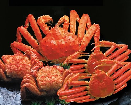 人類で初めてカニを食った奴ってさあ、、、