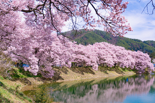 【悲報】日本、夏と冬しかなくなるｗｗｗｗｗｗｗｗｗｗｗｗｗｗｗ