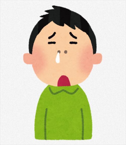 SnapCrab_NoName_2020-11-17_13-55-3_No-00_R