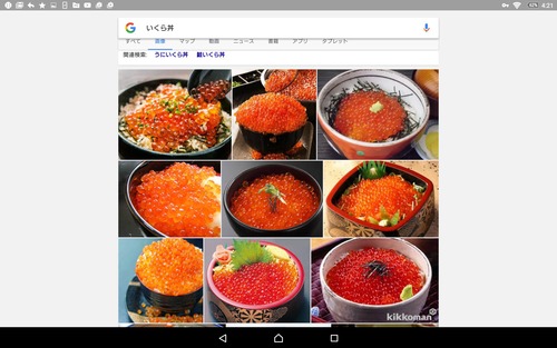 いくら丼、ガチでうまそう