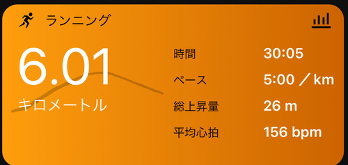 糞デブわいが一年間ランニングし続けた結果