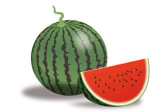 1208_suica