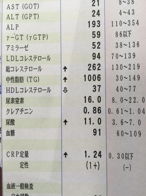 毎日ラーメン食べてた奴が健康診断した結果wwww