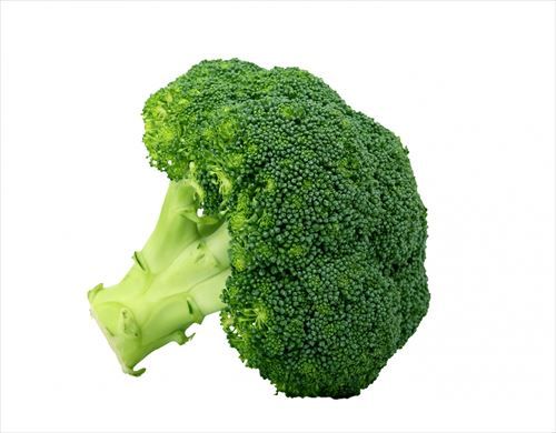 broccoli-isolated-on-white_R