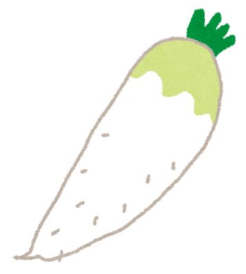 daikon_radish