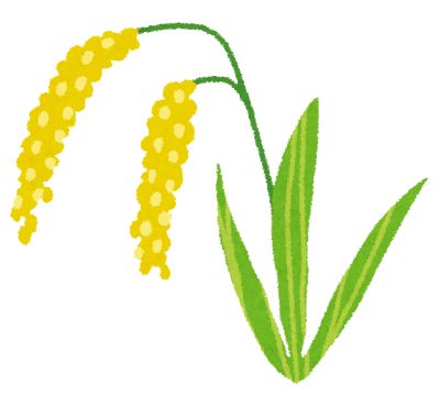flower_ine