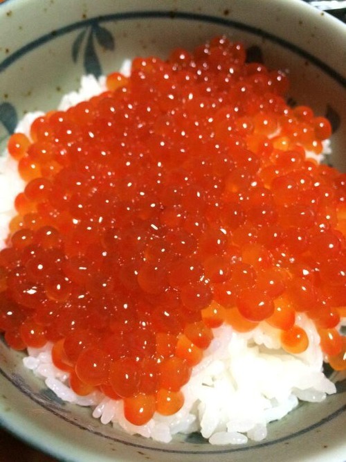 秋なので生筋子買ってイクラの醤油漬け作った