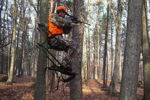 hunter-holds-hisitting-on-tree-725x481_R