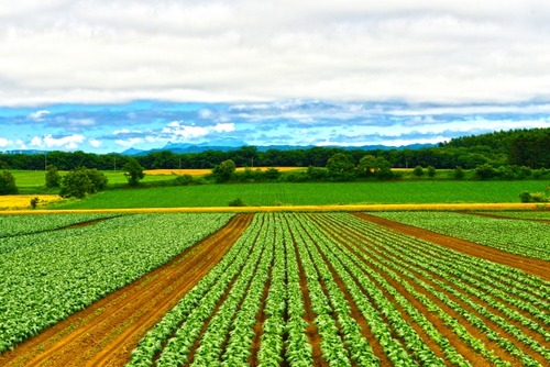 d4161533d9eaa30acbb2640a0fb41869_s