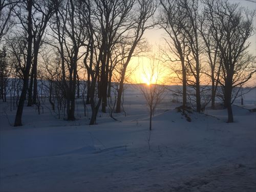 北海道「料理旨いです、涼しいです、毎年雪が見られます、G出ません」