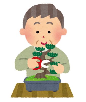 bonsai_man